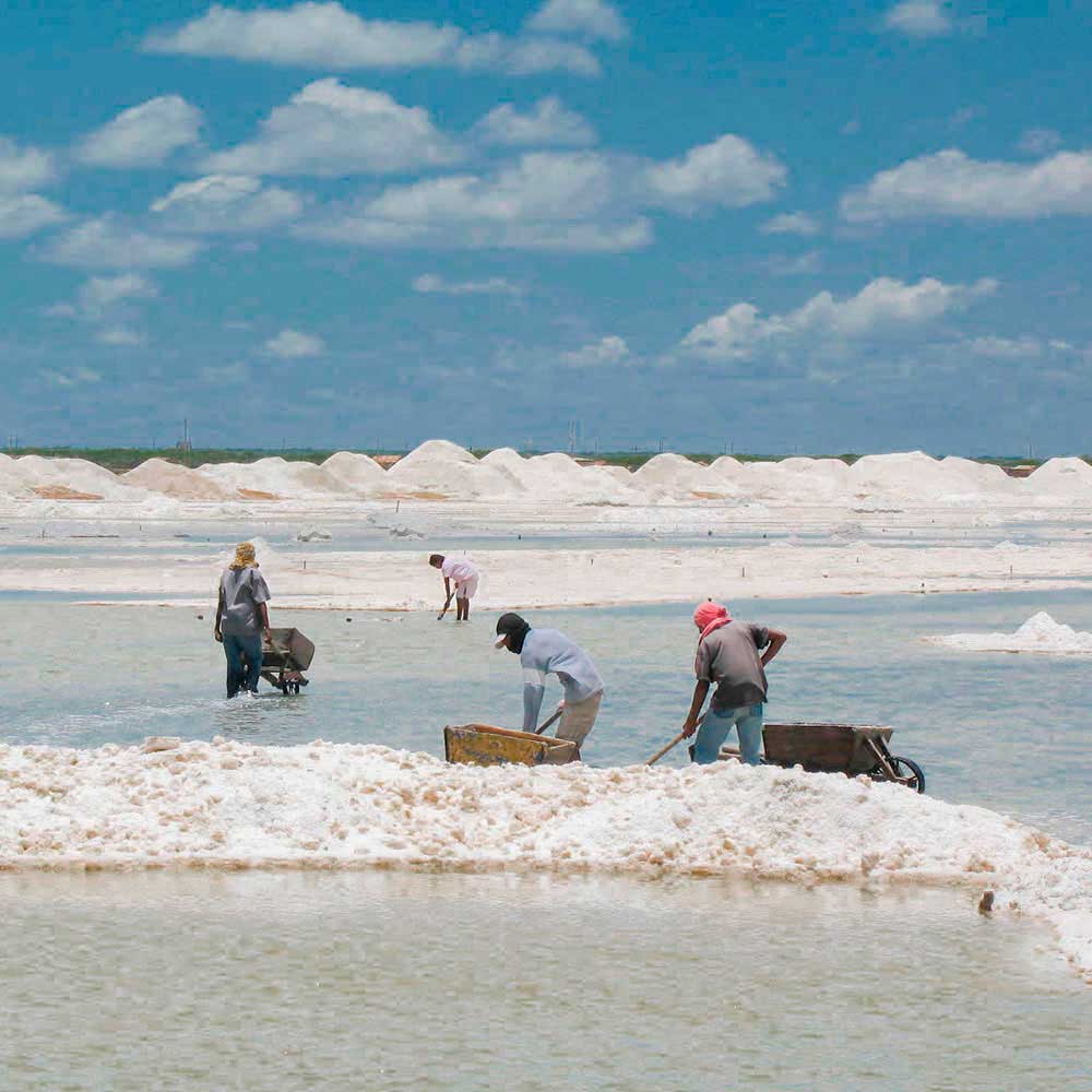 Salinas de Manure en La Guajira
